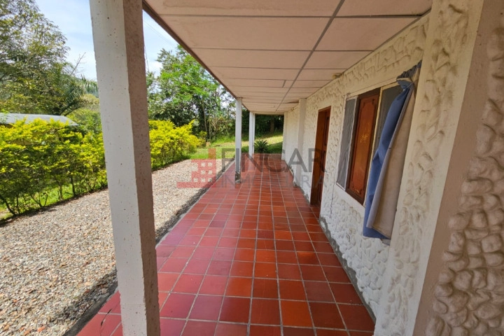 VEREDA LLANO DE NAVAS